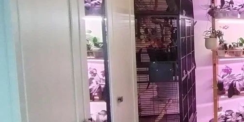 2-комн квартира Тимуровская улица, 6К2