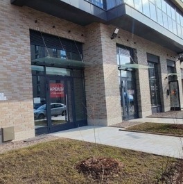 Аренда ПСН Светлановский пр-кт,  д. 14 к1 с1