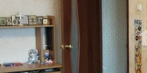 1-комн квартира пос. Понтонный, Южная улица, 1к3