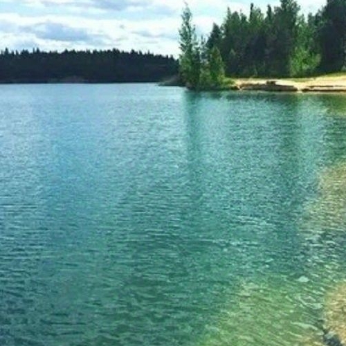 Коттедж/дом Новинка садоводческий массив, Дельфин СНТ, 5-я линия