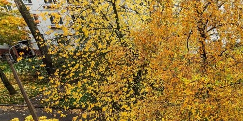 3-комн квартира улица Седова, 87К3