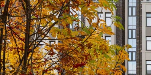 2-комн квартира 12-я Красноармейская улица, 26