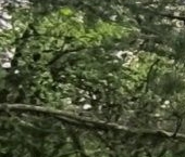 Продать Дачи, коттеджи, загородные дома Северное СНТ, 2-я линия   