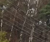 Продать Земельные участки, земля Сергиево тер.   