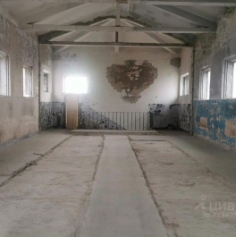 Аренда отдельного здания Кожевенная линия,  д. 32 к8 литП