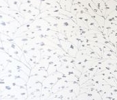 Продать Квартиры вторичка Светлановский проспект, 39   