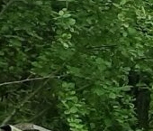 Продать Дачи, коттеджи, загородные дома Славино-2 СНТ  44 