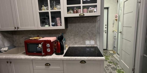 Студия Ломоносов г., Михайловская ул. ,  д. 51