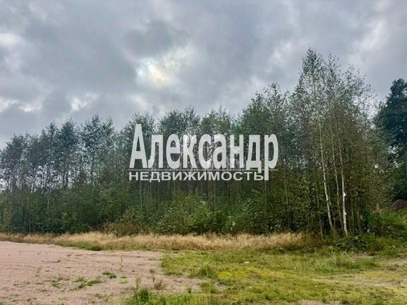Продажа земли Поселок Большое Поле, проезд 1-й Береговой