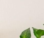 Продать Квартиры вторичка улица Лидии Зверевой, 5к1   