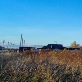 Продажа земли Кобралово кп, пос. Кобралово, 82 Продажа земли Кобралово кп, пос. Кобралово, 82