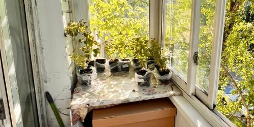 1-комн квартира улица Генерала Рычагова, 23/11