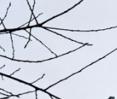 Продать Квартиры вторичка улица Композиторов, 10   