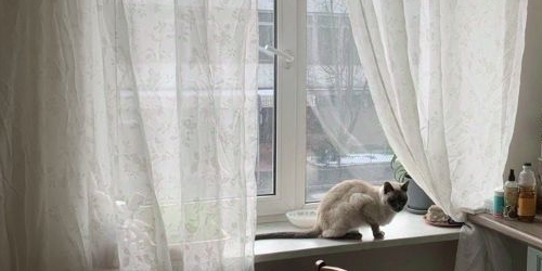 2-комн квартира 16-я Васильевского острова линия, 65