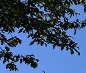 Продать Квартиры вторичка Северный кв-л, д. Сапроново, Купелинка мкр, 1В   