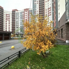 Продажа 2-комн квартиры на вторичном рынке ул Руднева,  д. 15,  к. 1