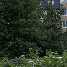 Продажа 2-комн квартиры на вторичном рынке Шувалово тер., улица Береговая, 18к3 Продажа 2-комн квартиры на вторичном рынке Шувалово тер., улица Береговая, 18к3