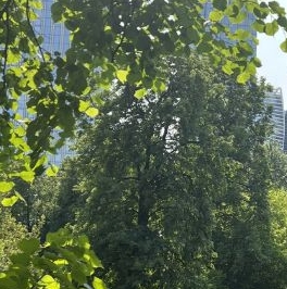 Продажа 5-комн квартиры на вторичном рынке Краснопресненская набережная, 14Ак3 Продажа 5-комн квартиры на вторичном рынке Краснопресненская набережная, 14Ак3