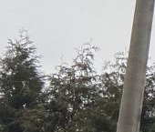 Продать Квартиры вторичка Строителей мкр, Некрасовский пгт, 40   