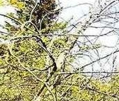 Продать Дачи, коттеджи, загородные дома Метрополитеновец СНТ, улица Метро-4, 274   