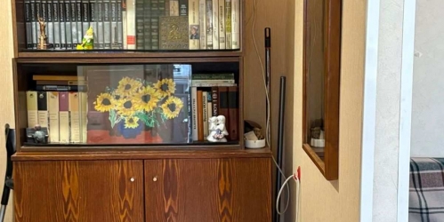 2-комн квартира Новодевичий проезд, 10