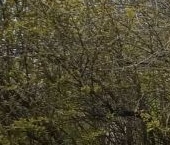 Продать Квартиры вторичка проспект Металлистов, 59   