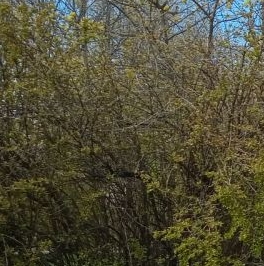 Продажа 3-комн квартиры на вторичном рынке проспект Металлистов, 59 Продажа 3-комн квартиры на вторичном рынке проспект Металлистов, 59