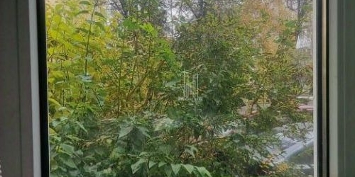 3-комн квартира 16-я Васильевского острова линия, 45