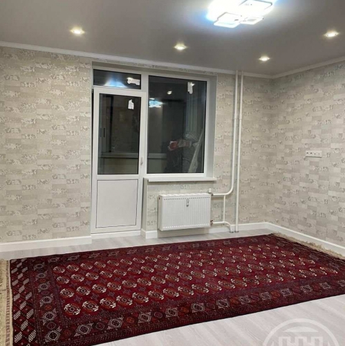 Студия Коммунар г., Ново-Антропшинская ул. ,  д. 8