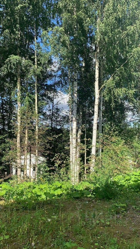 Продажа дома д. Мистолово, проспект Средний, 36