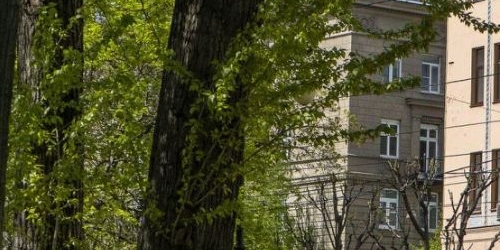 1-комн квартира Кронверкский проспект, 27