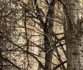 Продать Квартиры вторичка Поклонная улица, 9   