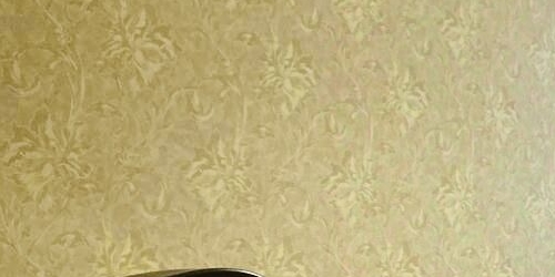 1-комн квартира Пушкин, Гусарская улица, 4к3