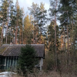 Продажа дома Токсово пос., Большая аллея, д. 12 Продажа дома Токсово пос., Большая аллея, д. 12