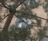 Продать Квартиры вторичка Шатура, Спортивная улица, 5   