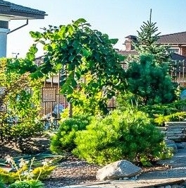 Продажа земли Онегин Парк кп, д. Глинка Продажа земли Онегин Парк кп, д. Глинка