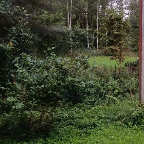 Коттедж/дом д. Петрушина Гора, улица Морская, 5А