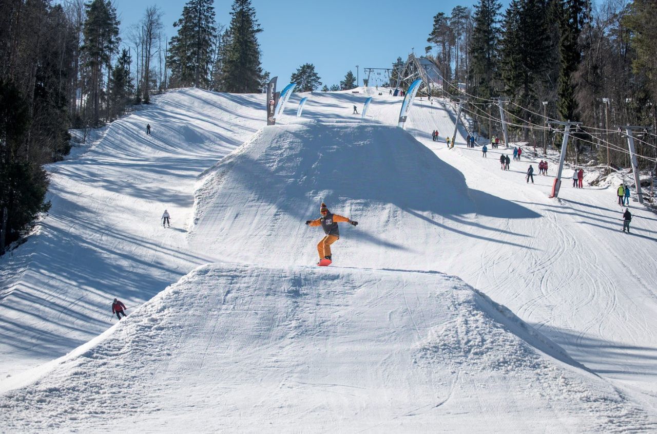 Продажа земли Массив Никольское кп, Красный Бор городской поселок