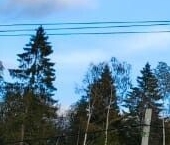 Продать Дачи, коттеджи, загородные дома Экофорест 2 кп, улица Центральная   