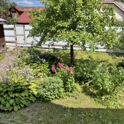 Коттедж/дом Фирсановка, Санаторная улица,  д. 12