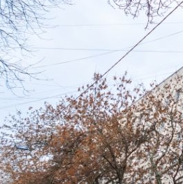 Продажа 4-комн квартиры на вторичном рынке 15-я Васильевского острова линия, 34