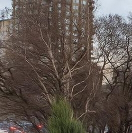 Аренда 3-комн квартиры на вторичном рынке Луганская улица, 1