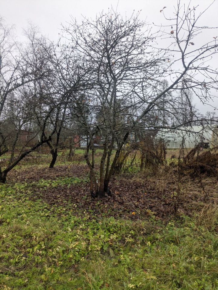 Продажа земли Новая Ропша садоводческий массив, улица 6-я Речная, 38