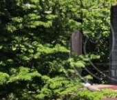 Продать Дачи, коттеджи, загородные дома д. Шепелево, улица Ветеранов, 27   