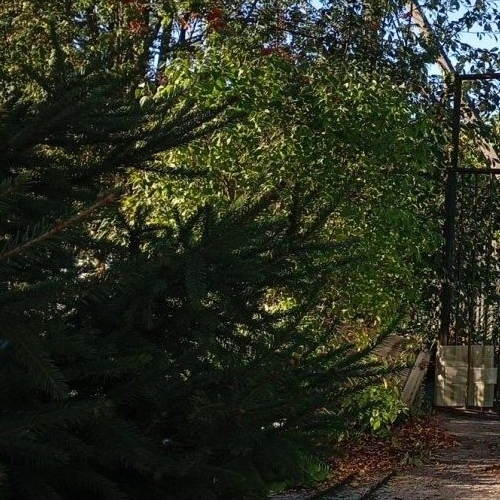 Коттедж/дом Грузино СНТ, улица Центральная