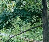 Продать Квартиры вторичка Дзержинский, Спортивная улица, 10   