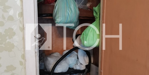 1-комн квартира Ногинск, Климова ул, 41