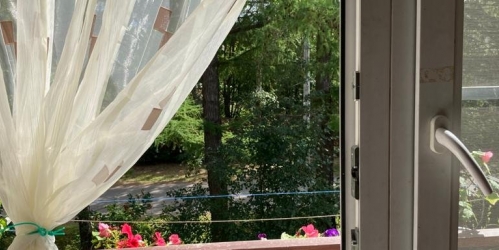 2-комн квартира Лисий Нос пос., Ивановская ул. ,  д. 12,  к. 2