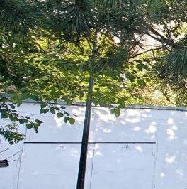 Продажа студии переулок Докучаев, 11 Продажа студии переулок Докучаев, 11