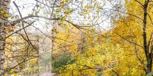 2-комн квартира проспект Шаумяна, 81